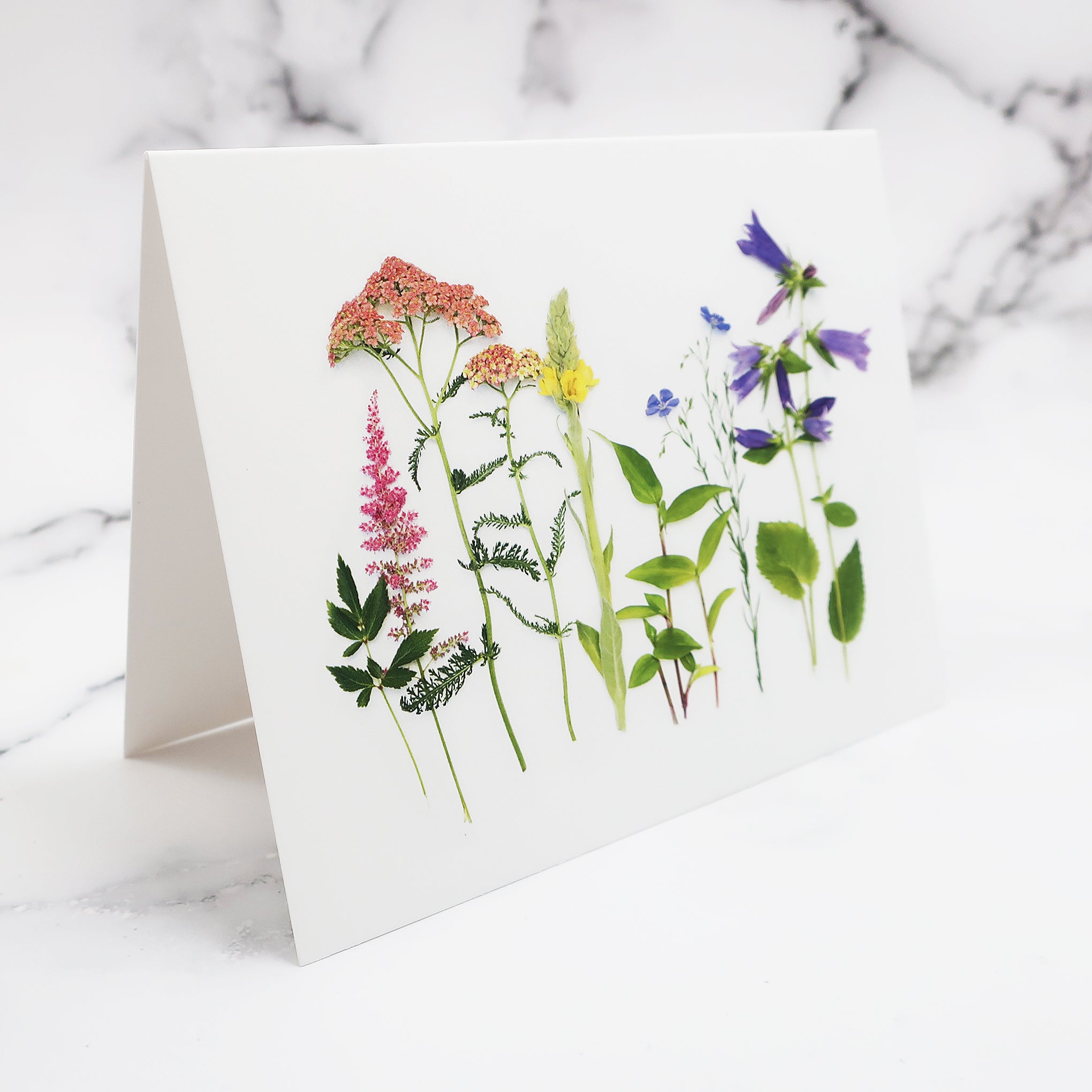 Blank Folding Greeting Card in Multicolor Wildflowers and Greenery