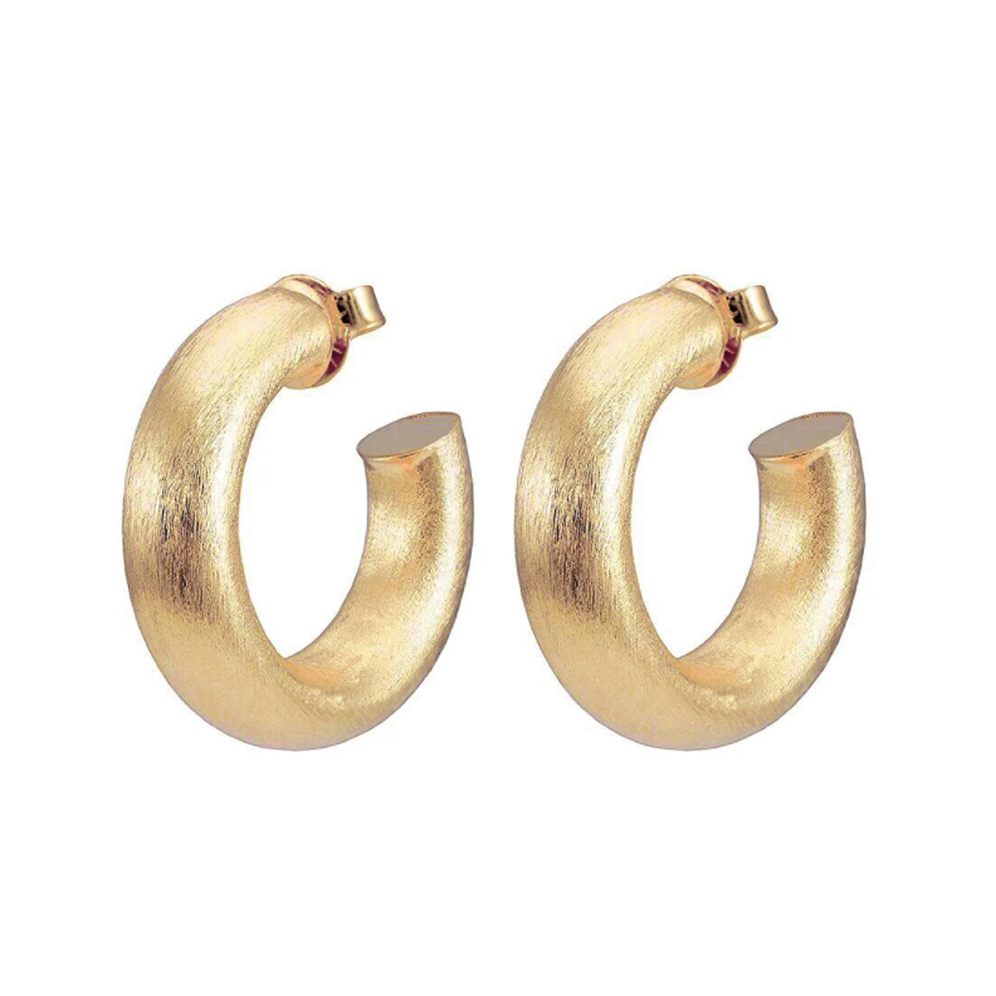 Sheila Fajl Thick Small Chantal Hoop Earrings in Brushed Champagne Plated