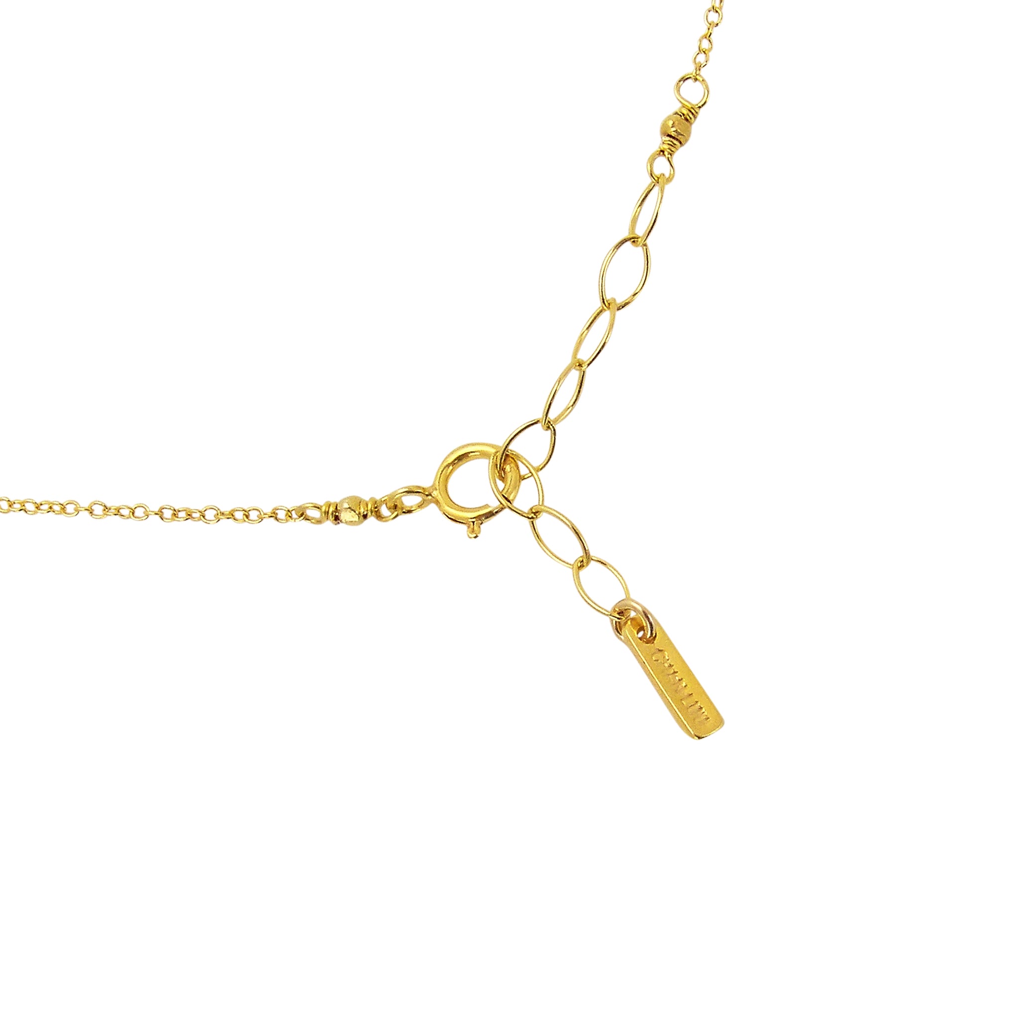 Chan Luu Petite Gold Vermeil Chain Necklace with Horn Pendant