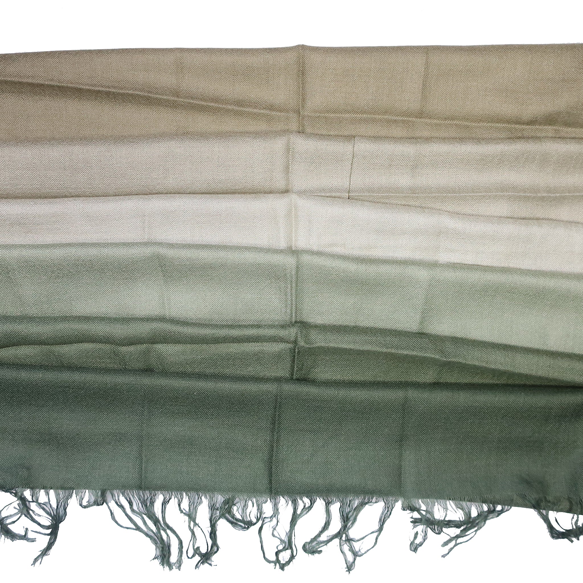 Blue Pacific Tissue Solid Micromodal Cashmere Scarf in Olive and Moss 28 x 60