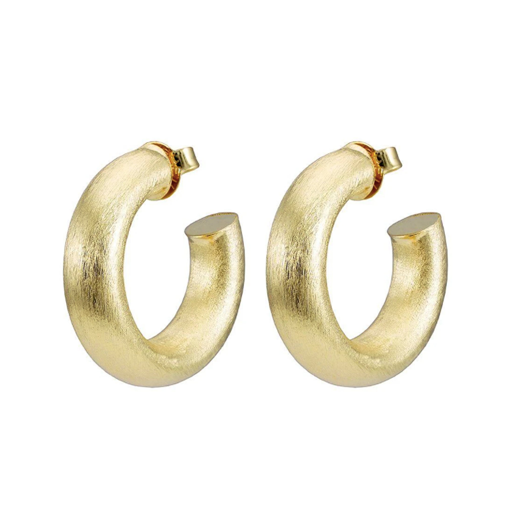 Sheila Fajl Thick Small Chantal Hoop Earrings in Brushed Gold Plated