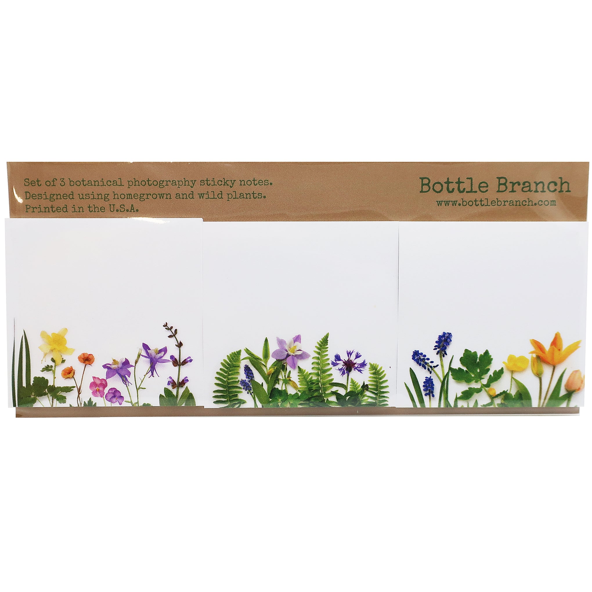 Set of 3 Botanical Photography Sticky Note Set in Rainbows and Greenery