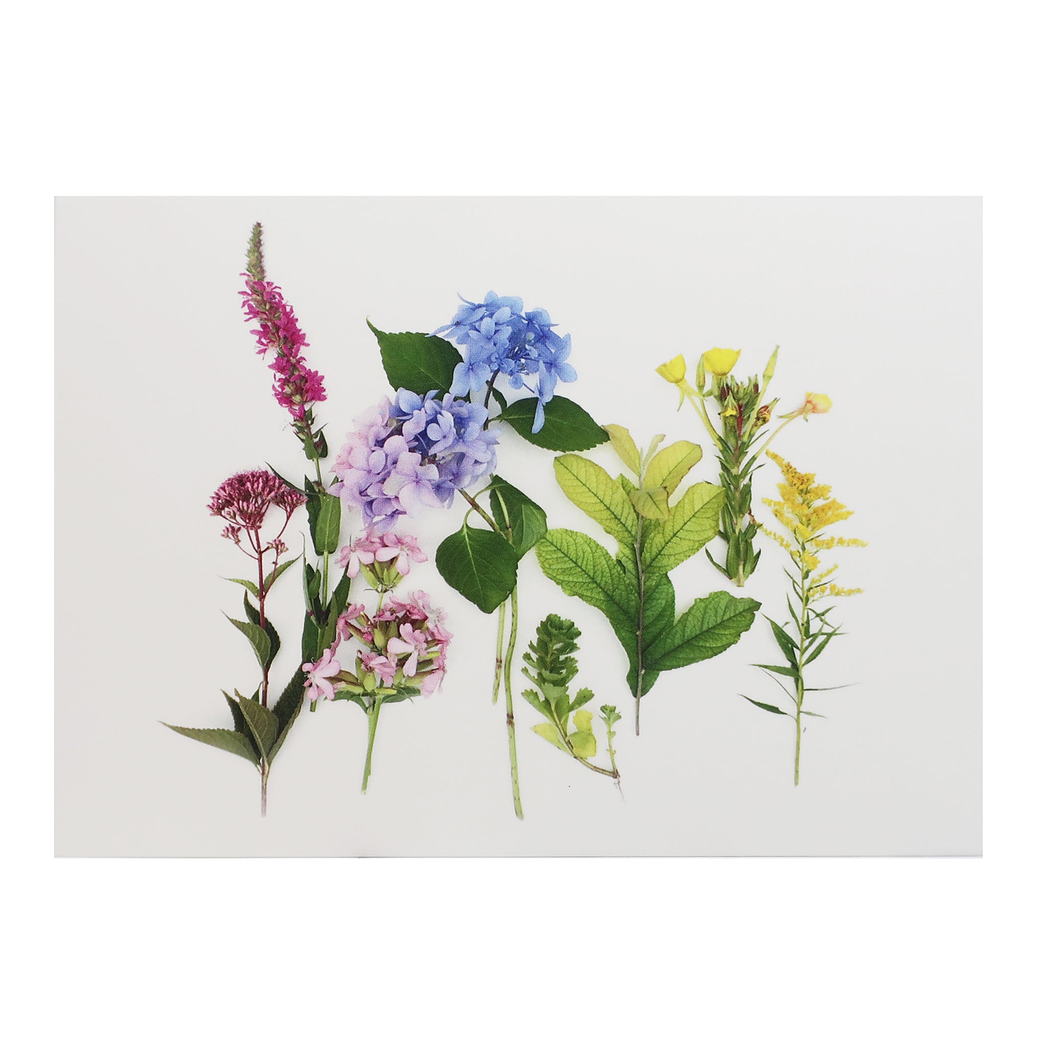 Blank Folding Greeting Card in Pink, Blue and Yellow Wildflowers of Summer
